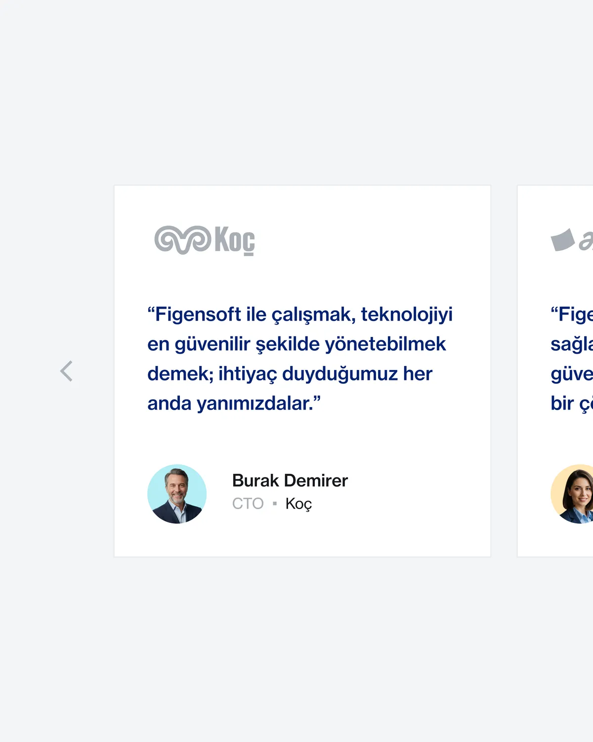 Figensoft Website — 8